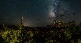 The Milky Way fills the night sky over a Colorado vineyard.
