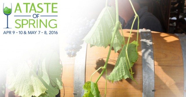 A Taste of Spring: Colorado’s First Statewide Barrel Tasting