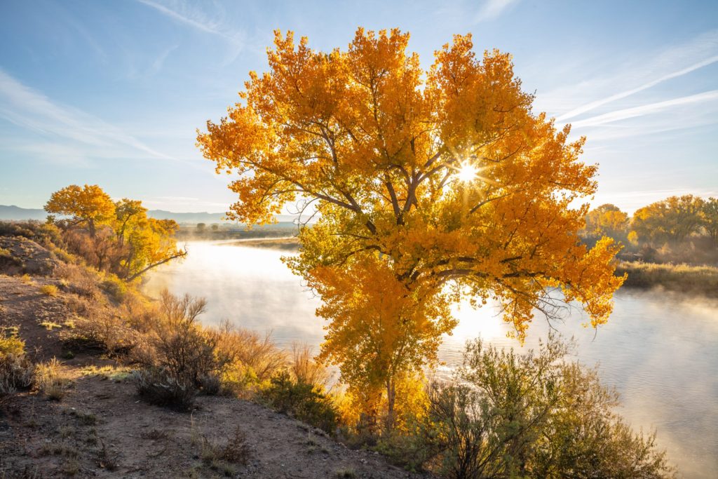 Colorado River • Loma, CO