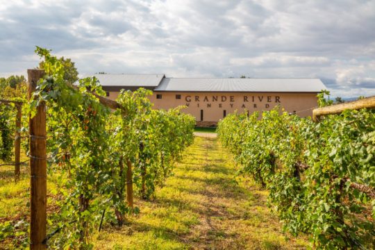 Grande River Vineyards at Wine Country Inn • Palisade, CO