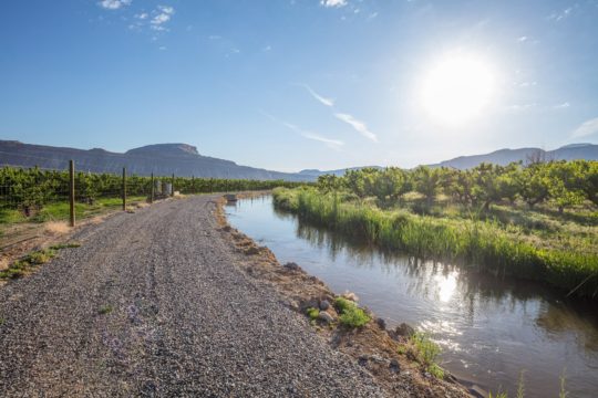 Orchard Mesa Irrigation District, Palisade CO