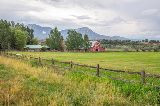 The Storm Cellar • Paonia, CO