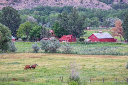 The Storm Cellar • Paonia, CO