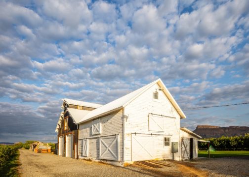 Restoration Vineyards • Palisade, CO