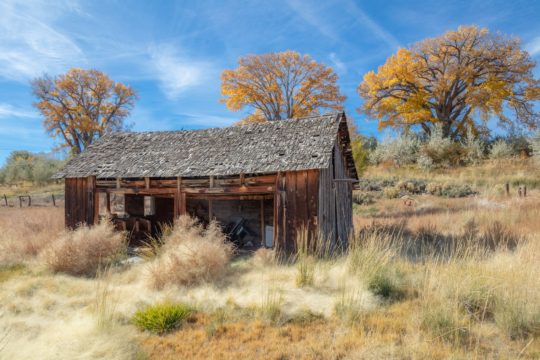 Stony Mesa  • Cedaredge, CO