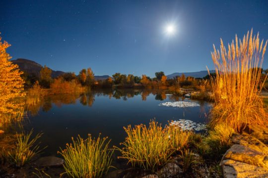 TWP Winery and Farmhouse • Clifton, CO