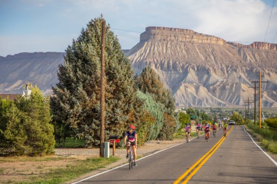 Tour de Vineyards Bike Tour, Palisade Colorado