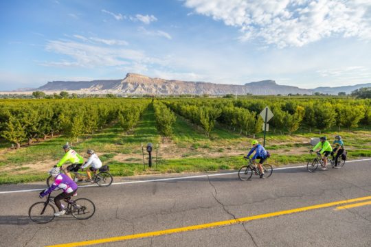 Tour de Vineyards Bike Tour, Palisade Colorado