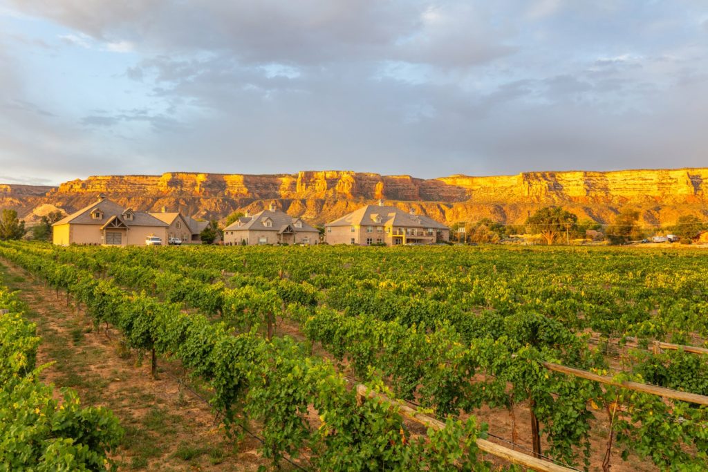 Two Rivers Winery & Chateau • Grand Junction, CO