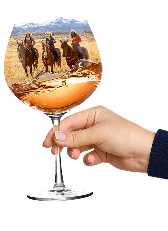 Colorado Wine 5
