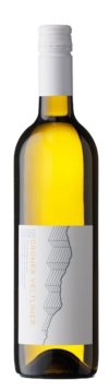 2025 - Grüner Veltliner