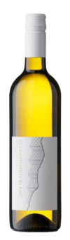 2025 - Sauvignon Blanc